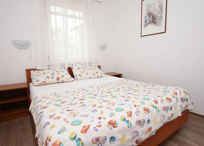Marigold Sveti Filip i Jakov