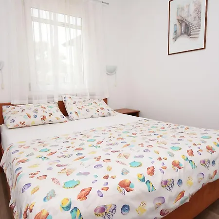 Marigold Sveti Filip i Jakov